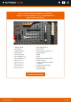 Manual de taller para 307 (3A/C) 2.0 HDi 110 en línea
