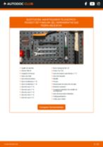 Cambio Amortiguadores delanteros PEUGEOT 307 Break (3E): guía pdf