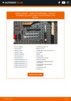 Changement Amortisseur hydraulique arrière et avant PEUGEOT 307 Break (3E) : guide pdf