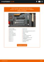 RIDEX 854S0317 per 307 CC (3B) | PDF istruzioni di sostituzione