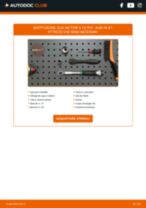 Come cambiare Kit cinghia servizi Serena C25 - manuale online
