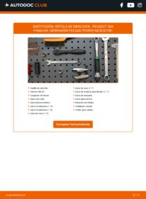 Cómo cambiar Rótula de Dirección 304 Familiar