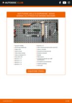 NISSAN QASHQAI / QASHQAI +2 (J10, JJ10) Molla Ammortizzatore sostituzione: tutorial PDF passo-passo