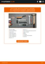 Cambio Kit Cinghie Poly-V Passat 3b5: guida pdf