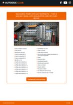 Schimbare Set curea de distribuție cu pompă de apă FORD S-MAX: pdf gratuit