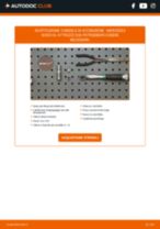 SEAT TERRA Box (024A) Filtro Antipolline sostituzione: tutorial PDF passo-passo