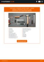 Reparatur- und Servicehandbuch für NISSAN Qashqai / Qashqai+2 I Van (J10, JJ10E) 2010