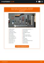 Cambio Juego de correas auxiliares servicios SAAB bricolaje - manual pdf en línea