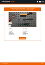 DIY-manual til udskiftning af Intercooler i PEUGEOT 307 2012