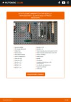 DENCKERMANN DSF111G per Classe E Sedan (W211) | PDF istruzioni di sostituzione