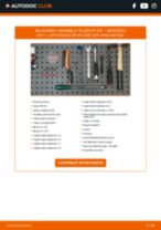 Manualul online pentru schimbarea Comutator semnalizare la Liteace M30