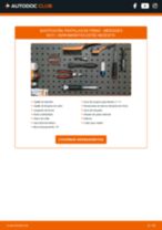 PDF manual sobre mantenimiento Clase E Berlina (W211) E 270 CDI (211.016)