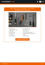 Manual mantenimiento IVECO pdf
