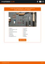 Bytte Bremseskiver lakkerte (coated) MERCEDES-BENZ CLK (C209): handleiding pdf