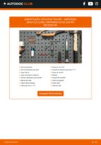 Mudar Discos de Travão ventilados e perfurados MERCEDES-BENZ CLK (C209): guia pdf
