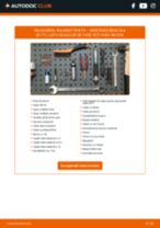 PDF manual pentru întreținere SLK (R171) 200 Kompressor (171.445)