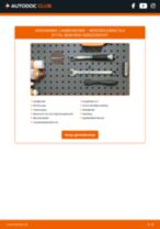 Werkplaatshandboek voor SLK (R170) 230 Kompressor (170.449)
