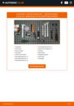 Werkstatthandbuch für CLS (C219) CLS 350 (219.357) online