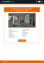 Online käsiraamat Roolivardapea iseseisva asendamise kohta MERCEDES-BENZ E-Klasse Pritsche / Fahrgestell (VF211)