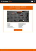 FORD Kennzeichenleuchte LED und Halogen selber auswechseln - Online-Anleitung PDF