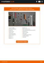 Cambio Intercooler RENAULT SANDERO / STEPWAY: guida pdf