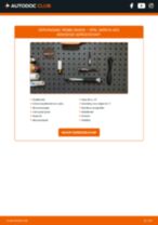 Gloeilamp Koplamp Xenon en LED veranderen PEUGEOT RIFTER: instructie pdf