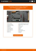 Cambio Filtro Aria DODGE RAM 1500 Pickup (D1, DC, DH, DM, DR): guida pdf