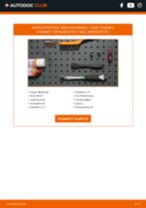 DIY εγχειρίδιο για την αντικατάσταση Βάσεις στήριξης κινητήρα στο FORD TOURNEO CONNECT