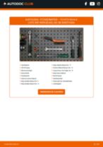 CHEVROLET BLAZER S10 Freilauf Lichtmaschine auswechseln: Tutorial pdf
