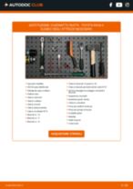 Cambio Kit cinghia servizi DACIA da soli - manuale online pdf