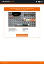 RENAULT Zusatzbremsleuchte LED und Halogen selber auswechseln - Online-Anleitung PDF