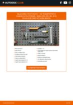 Manualul online pentru schimbarea Pivot bascula la VW TRANSPORTER VI Platform/Chassis (SFD, SFE, SFL, SFZ)