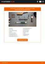 Werkstatthandbuch für SCIROCCO (53B) 1.8 16V online