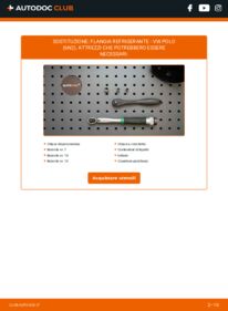 Sostituzione di Refrigerante Flangia Polo 6N2 1.4