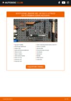 Cambio Batteria Start-Stop NISSAN Trade Pritsche / Fahrgestell: guida pdf