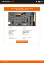 Stap-voor-stap PDF-handleidingen over het veranderen van VW CADDY III Box (2KA, 2KH, 2CA, 2CH) Homokineet