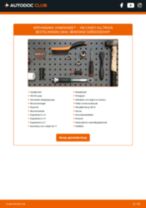 Stap-voor-stap PDF-handleidingen over het veranderen van VW CADDY ALLTRACK Box (SAA) Homokineet
