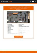 Manuale Caddy IV Van (SAA, SAH) 2.0 TDI 4motion PDF: risoluzione dei problemi