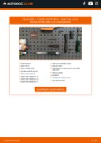 Manualul online pentru schimbarea Set segmenti piston la ALPINA D10 Estate (E39)