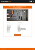 Byta Däcktryck Kontrollsystem FORD Kuga Mk1 (C394): guide pdf