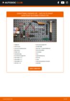 Online manual til udskiftning på egen hånd af EGR modul på Daihatsu Terios J2
