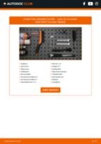 Bytte Motorstempel SKODA YETI: handleiding pdf