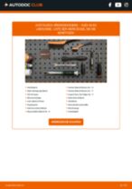 Abarth 124 Spider Achslager: PDF-Anleitung zur Erneuerung