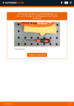 Manual de taller para efectuar reparaciones en carretera en DS4