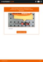PDF manuale di sostituzione: Spazzole tergicristallo CITROËN DS3 posteriore e anteriore