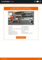 Самостоятелна смяна на задна и предна Биалетка на ALPINA - онлайн ръководства pdf