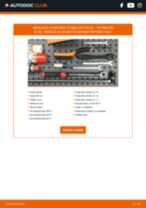 Menjava Komplet za popravilo, nosilni / vodilni zgib ALPINA B9: vodič pdf