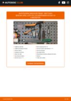 PDF manual sobre mantenimiento Exeo Berlina (3R2) 1.6