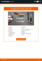 Gloeilamp Kentekenplaatverlichting veranderen SKODA SUPERB: werkplaatshandboek