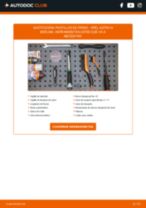 Cambio Caudalímetro PEUGEOT 407 SW Kasten / Kombi (6E_): guía pdf